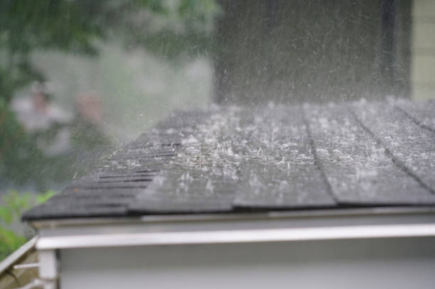 Best Roof Coating Services  in Hill City, KS