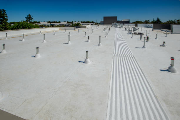 Best Skylight Installation and Repair  in Hill City, KS